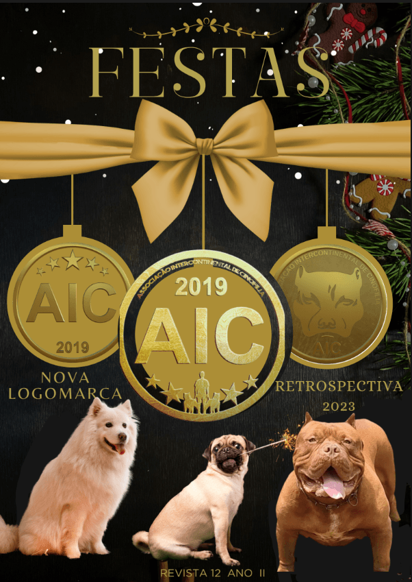REVISTA DIGITAL AIC, EDIÇÃO 12, DEZEMBRO 2023